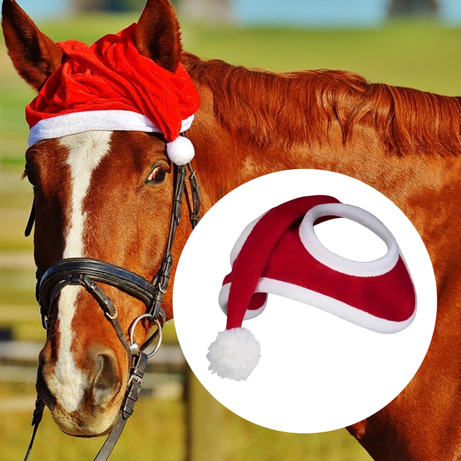 Рождественская шапка с лошадью – обзор и цена Grooming Kit Horse