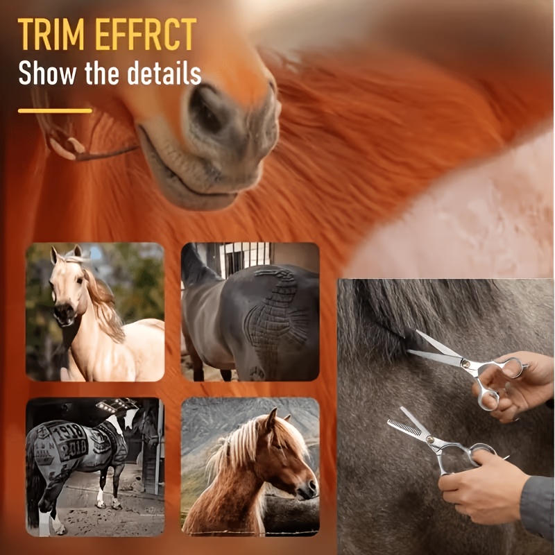 Набор инструментов для ухода з – обзор и цена Grooming Kit Horse