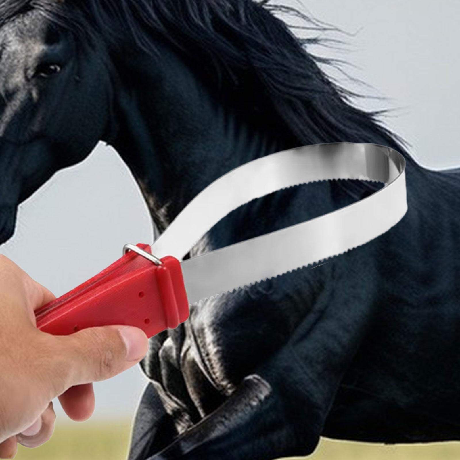 Практичная расческа для чистки – обзор и цена Grooming Kit Horse