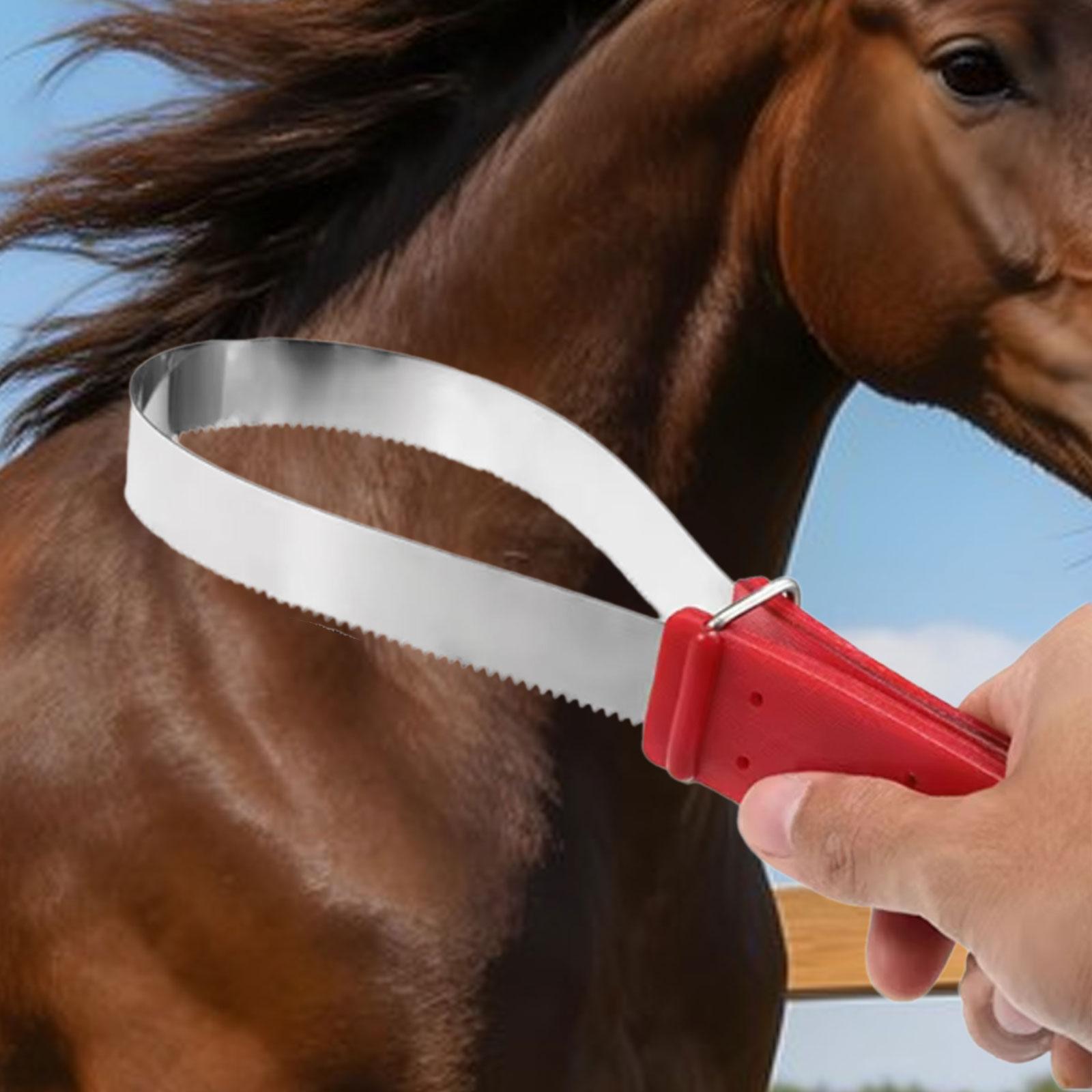 Практичная расческа для чистки – обзор и цена Grooming Kit Horse